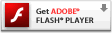 Bizexcel - Get Adobe Flash player
