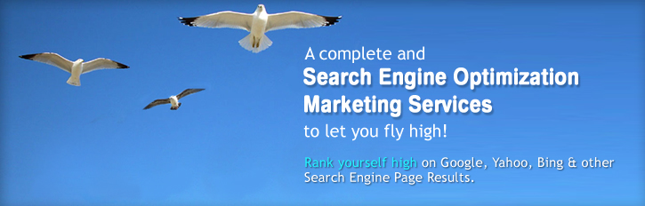 Bizexcel - SEO and Optimization Banner